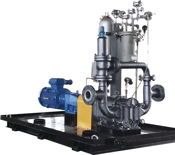 帶機封沖洗的轉(zhuǎn)子泵系統(tǒng) 帶機封沖洗的轉(zhuǎn)子泵系統(tǒng)