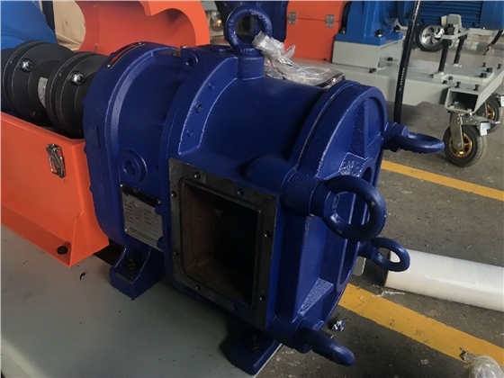 無阻塞轉子泵 無阻塞轉子泵