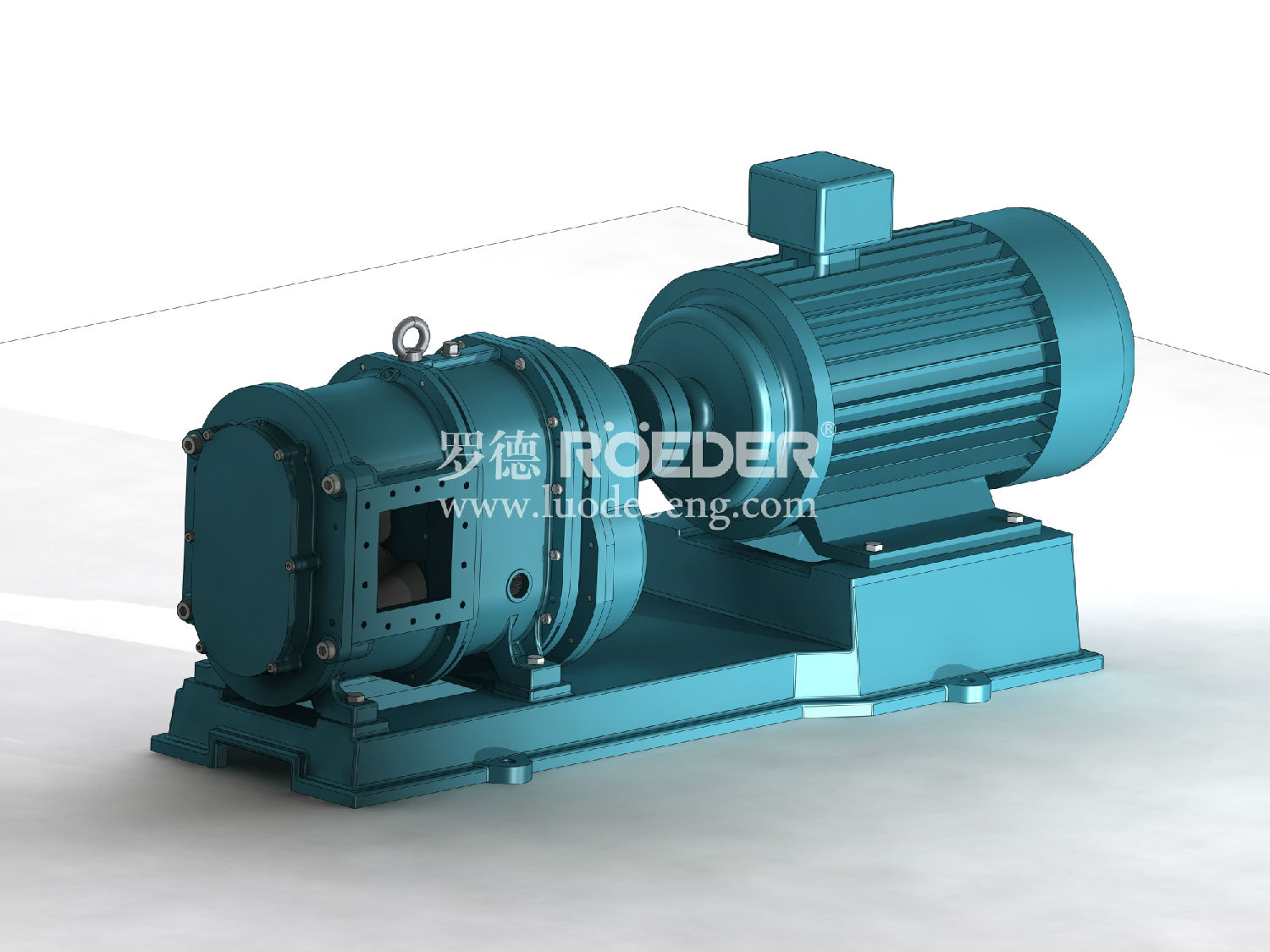 凸輪轉(zhuǎn)子泵 凸輪轉(zhuǎn)子泵