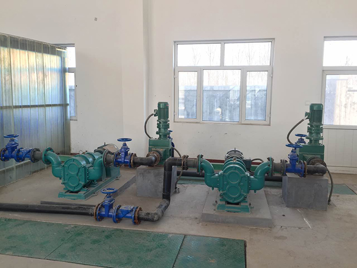 甘肅污水處理廠剩余污泥轉(zhuǎn)子泵 甘肅污水處理廠剩余污泥轉(zhuǎn)子泵