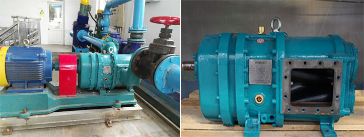 羅德轉(zhuǎn)子泵能替代螺桿泵以及隔膜泵嗎？