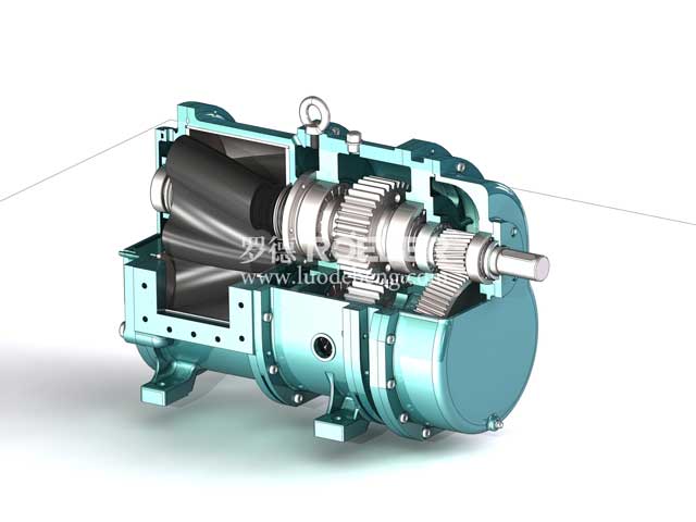 定速比集成減速機轉(zhuǎn)子泵 定速比集成減速機轉(zhuǎn)子泵