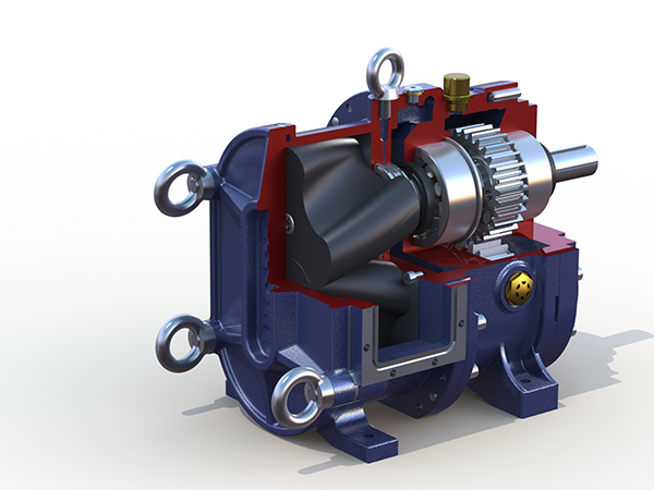 膜處理行業(yè)非要用進(jìn)口的轉(zhuǎn)子泵？